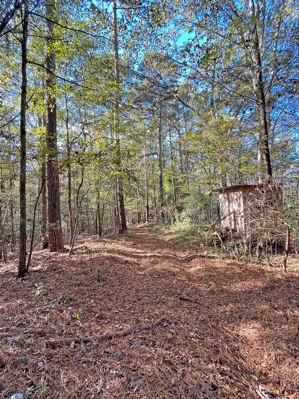 Hwy 528, Heidelberg, MS 39439 LandWatch