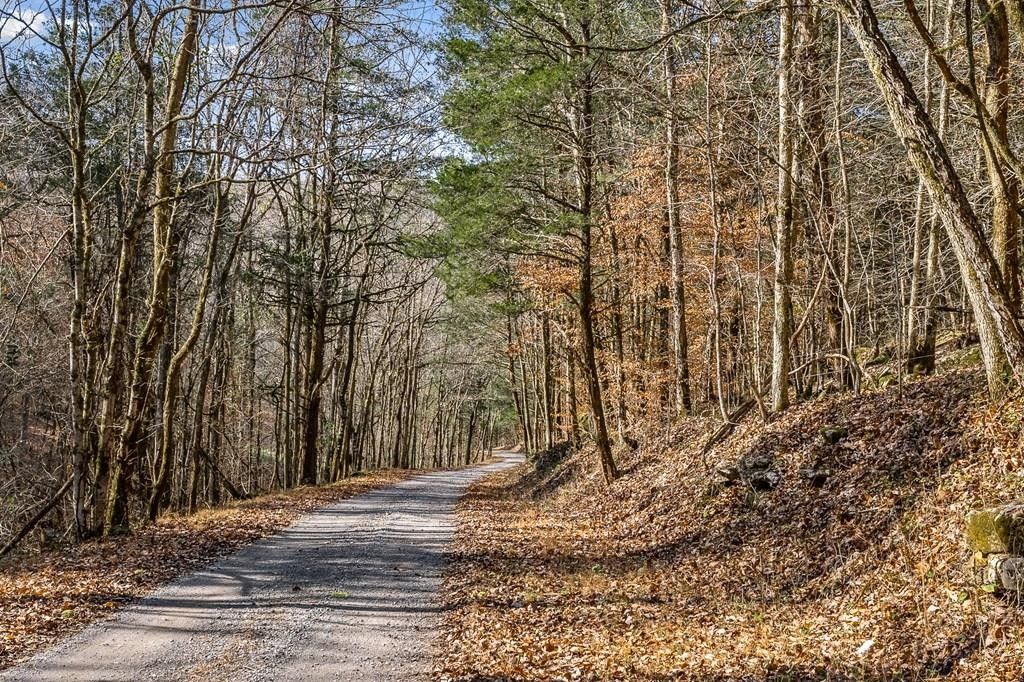Granville, Jackson County, TN Undeveloped Land for sale Property ID