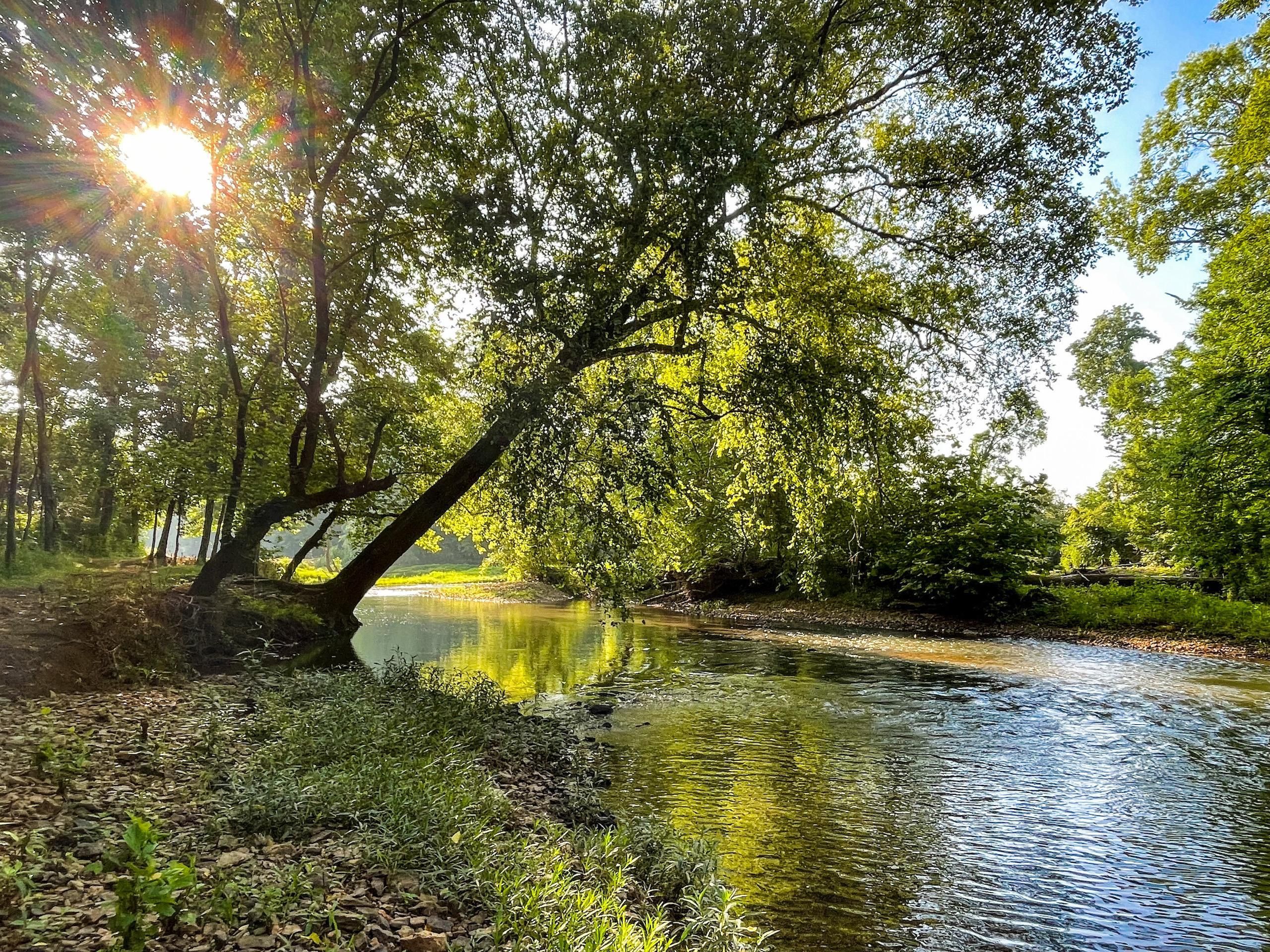 Harvest, Limestone County, AL Recreational Property, Timberland