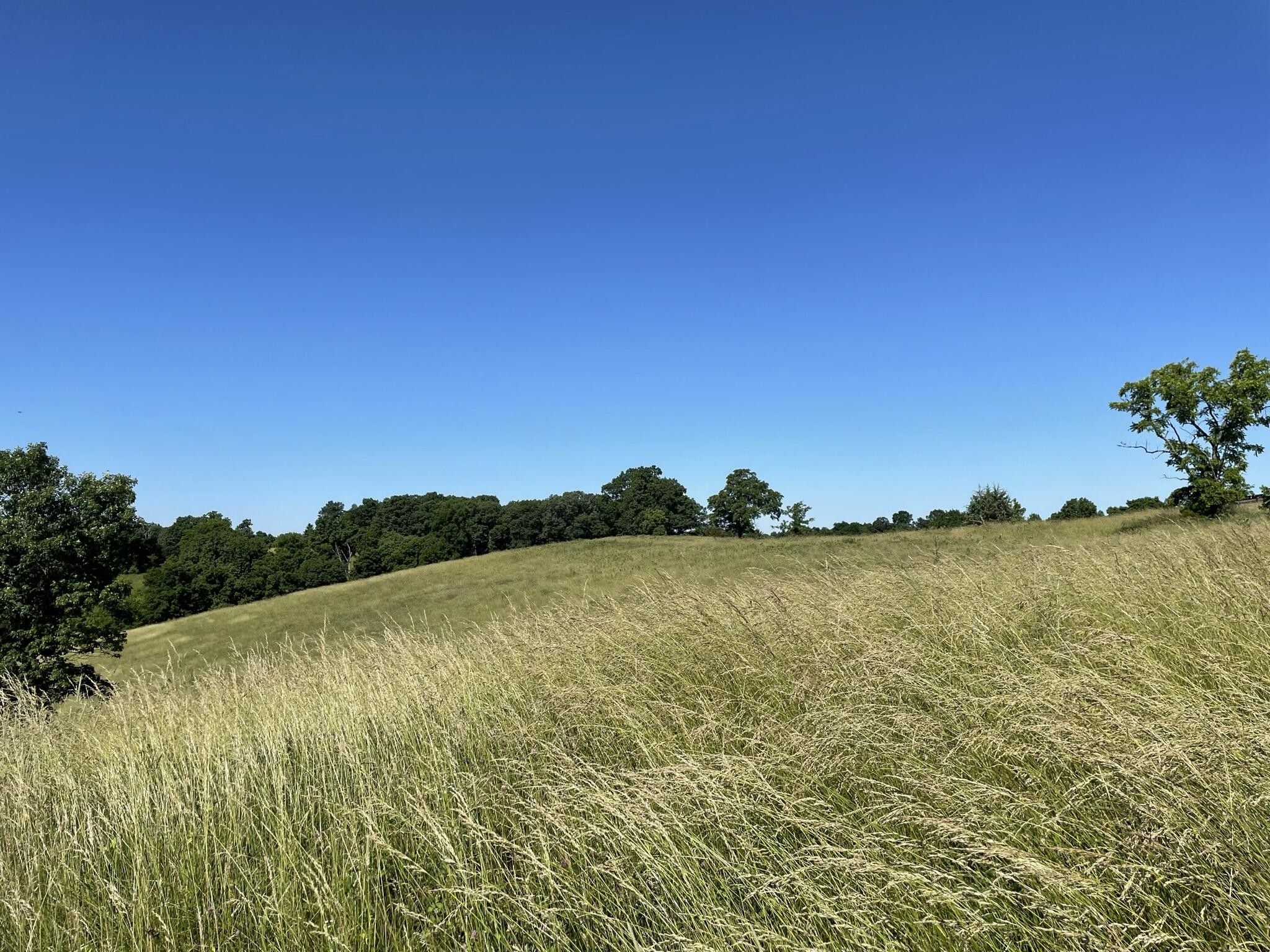 Owenton, Owen County, KY Undeveloped Land for sale Property ID