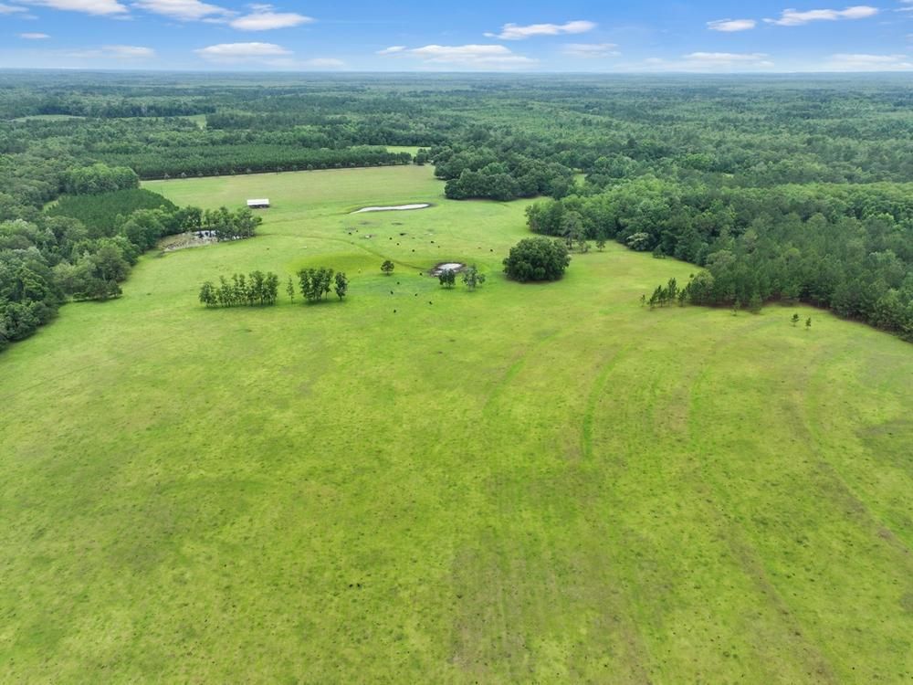 Monticello, Jefferson County, FL Farms and Ranches, Commercial Property