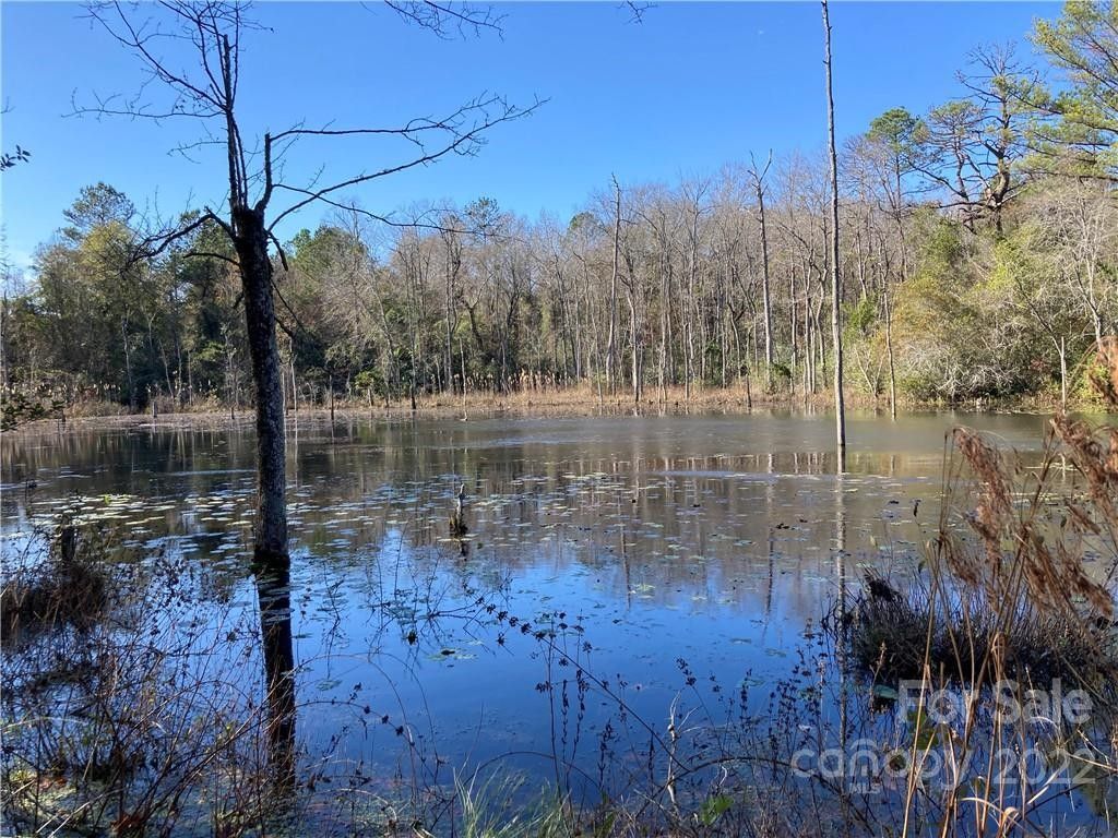 Bethune, Kershaw County, SC Lakefront Property, Waterfront Property