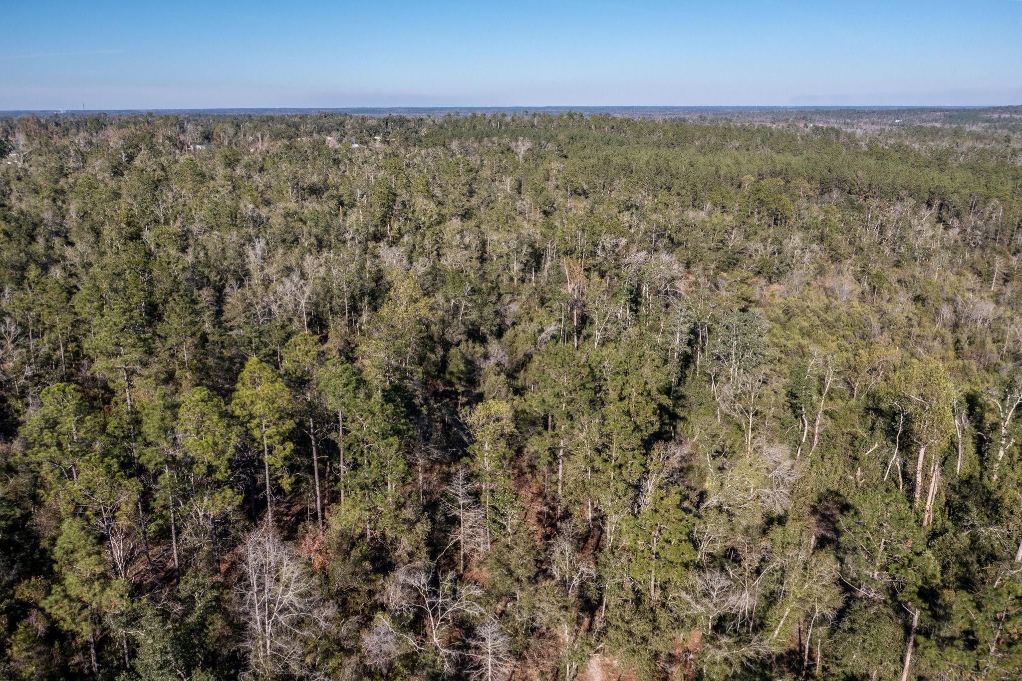 Alford, Jackson County, FL Undeveloped Land for sale Property ID