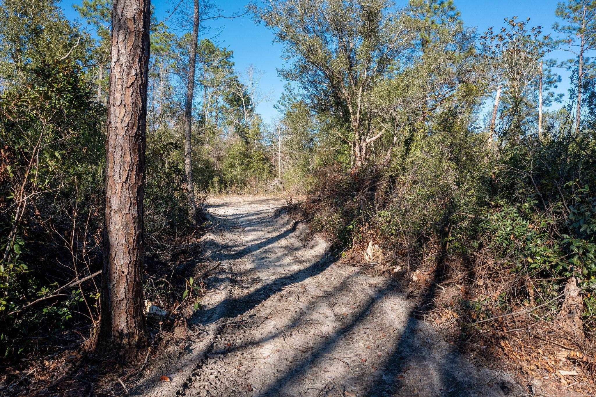 Alford, Jackson County, FL Undeveloped Land for sale Property ID