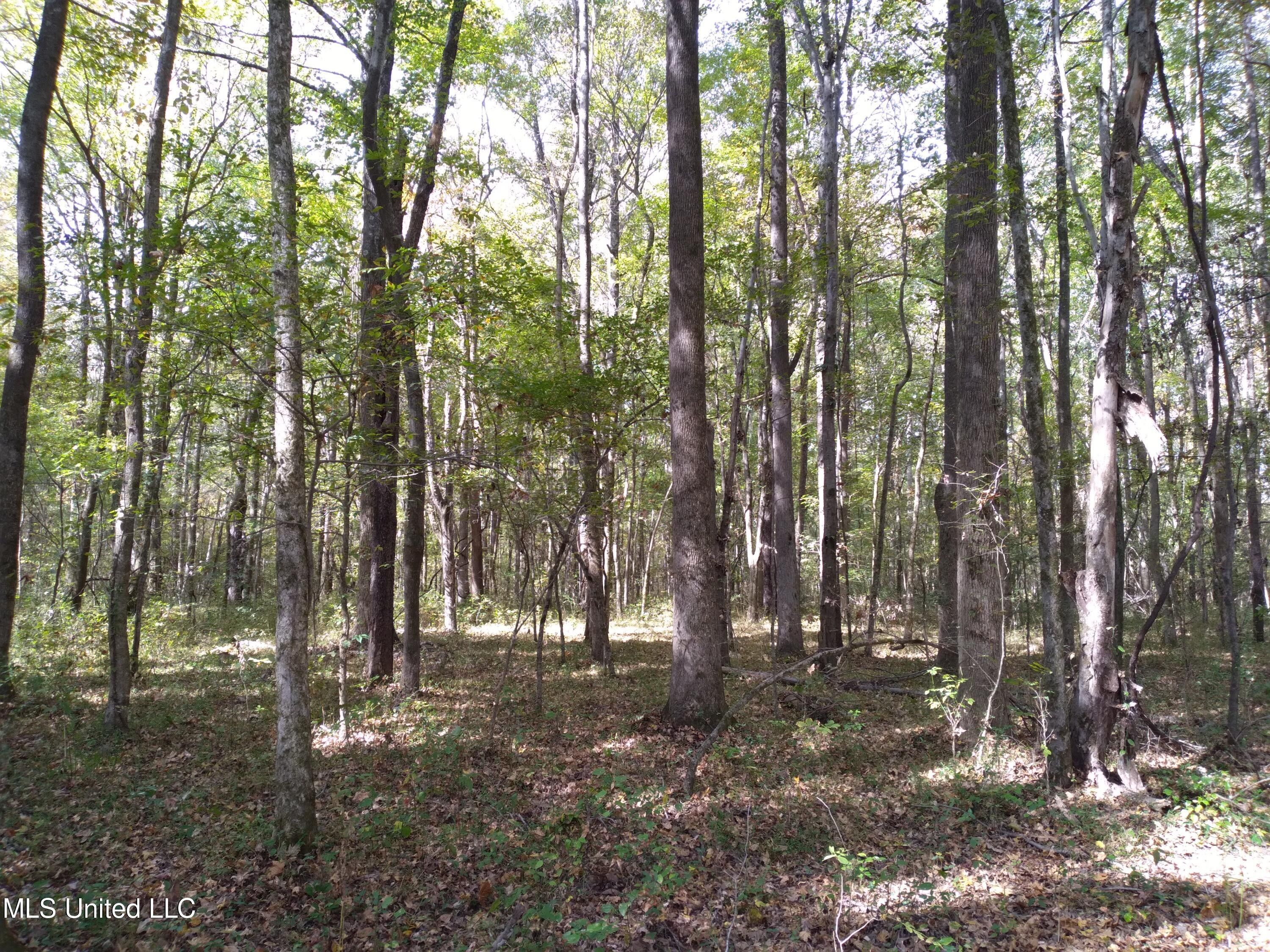 Byhalia, DeSoto County, MS Undeveloped Land for sale Property ID
