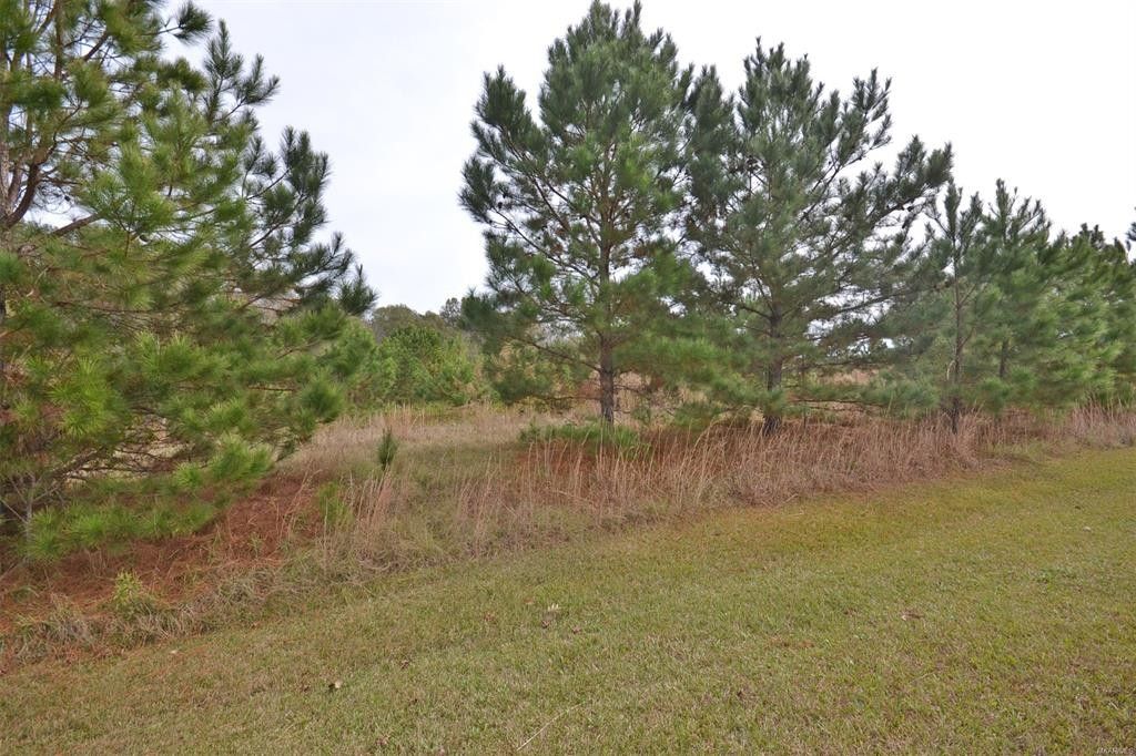 Fitzpatrick, Macon County, AL Undeveloped Land, Lakefront Property