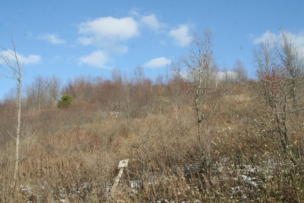 Sabinsville, Tioga County, PA Undeveloped Land for sale Property ID 415331283 LandWatch