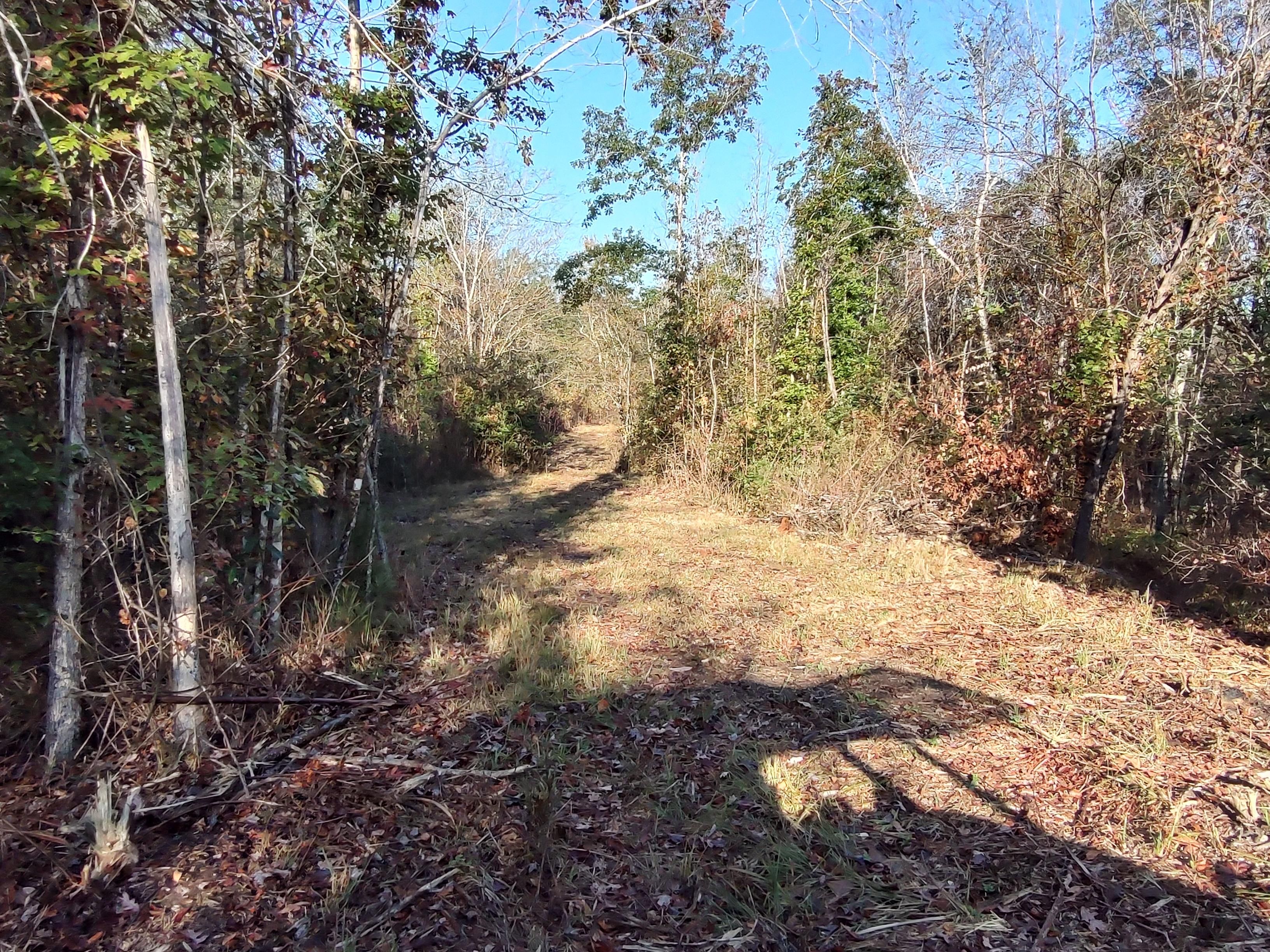Ariton, Dale County, AL Recreational Property, Hunting Property for