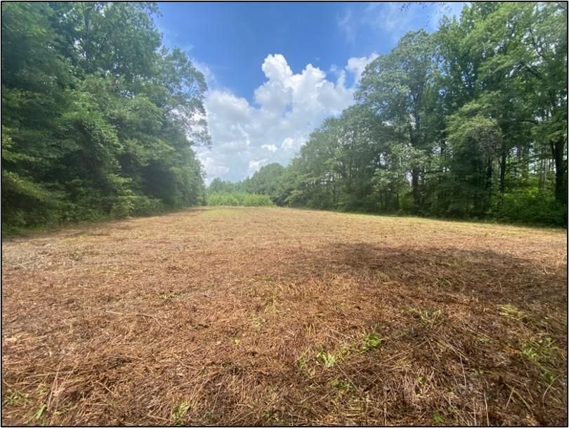 Sturgis, Oktibbeha County, MS Recreational Property, Undeveloped Land