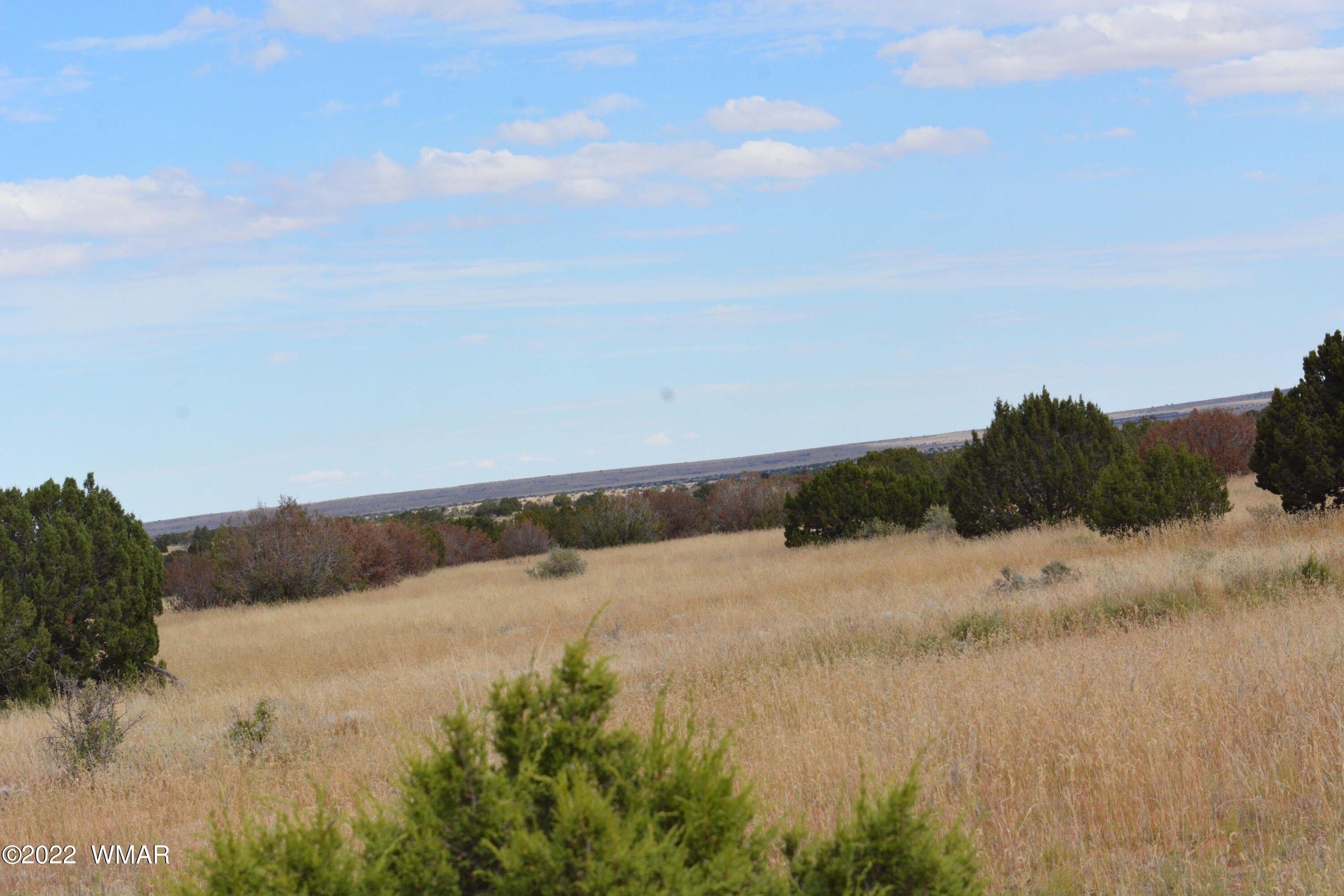 Heber, Navajo County, AZ for sale Property ID 415334063 LandWatch