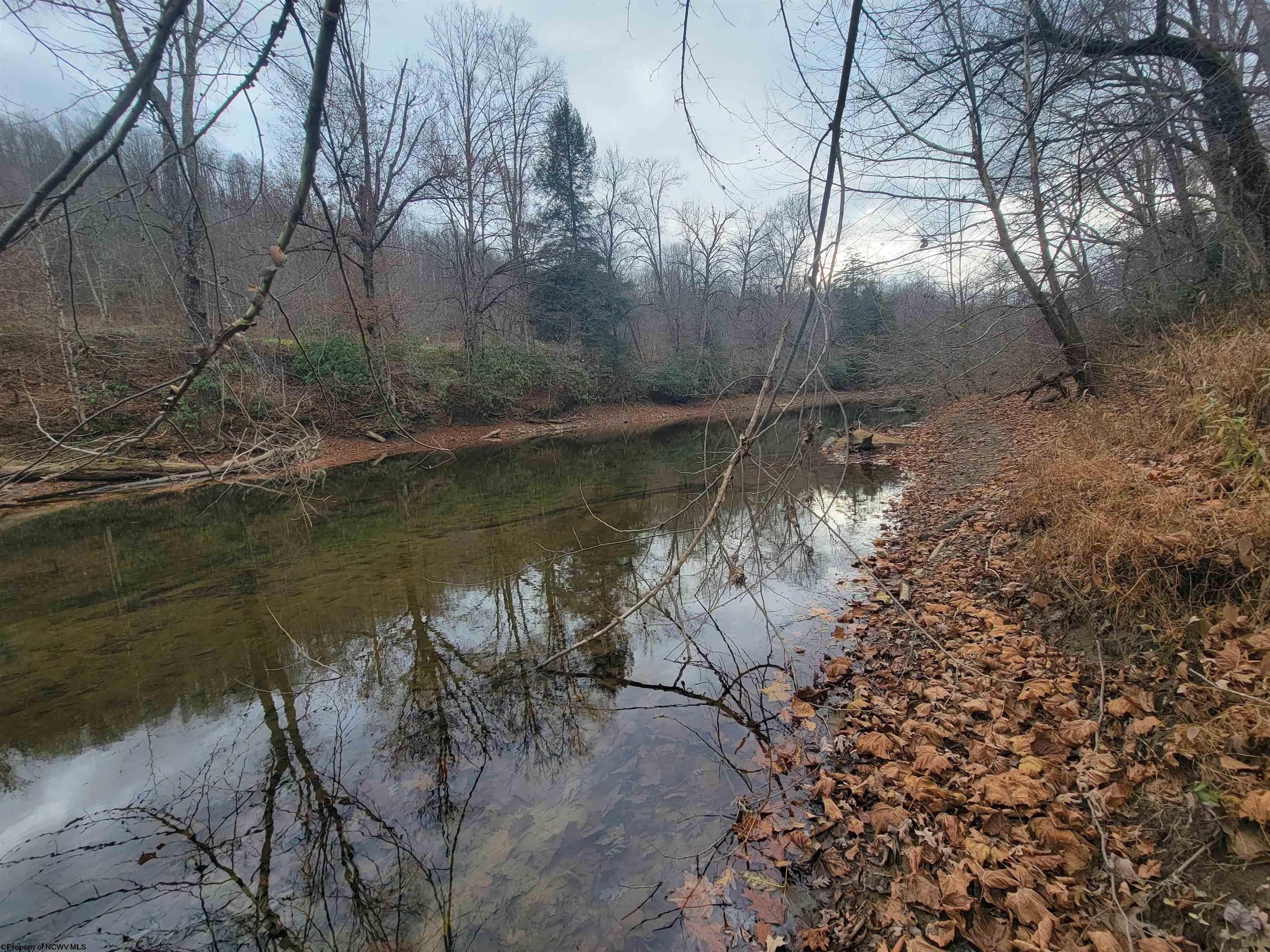 Buckhannon, Upshur County, WV Undeveloped Land, Lakefront Property