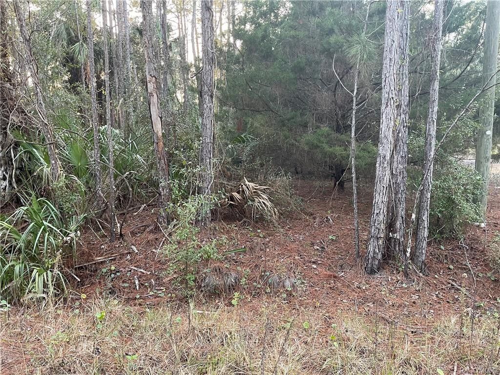 Inglis, Levy County, FL Undeveloped Land, Homesites for sale Property