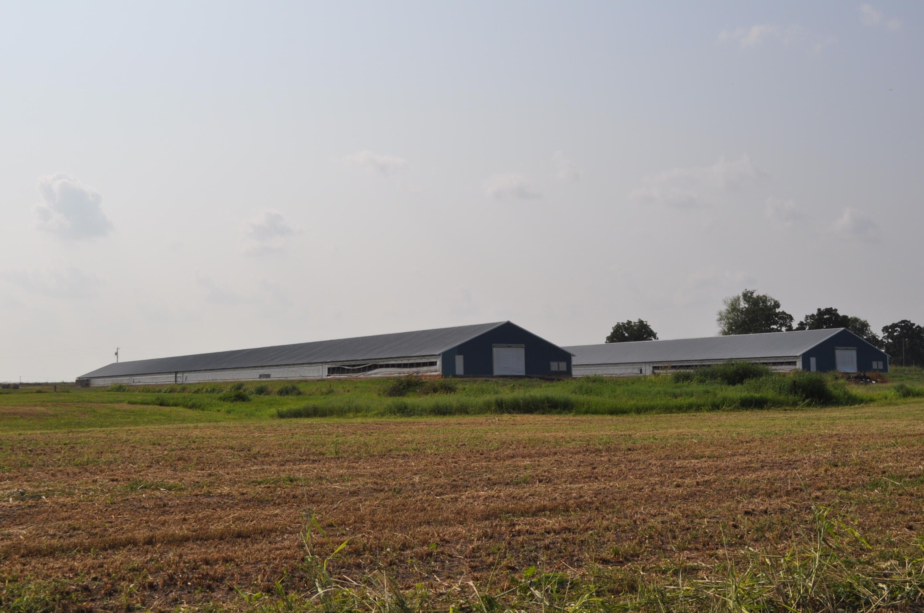 Wentworth, Lawrence County, MO Farms and Ranches, House for sale