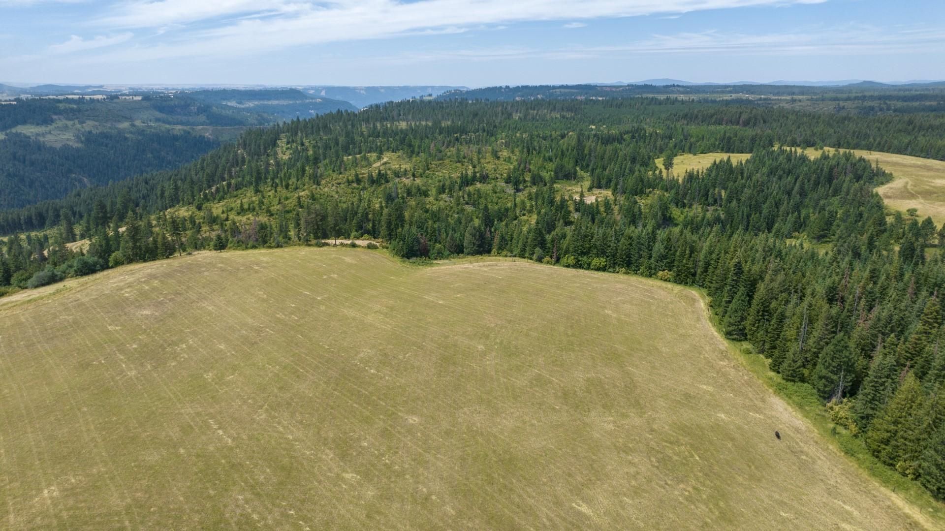 Weippe, Clearwater County, ID Farms and Ranches, Recreational Property, Undeveloped Land for