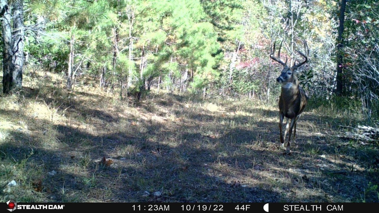 Colcord, Delaware County, OK Recreational Property, Undeveloped Land