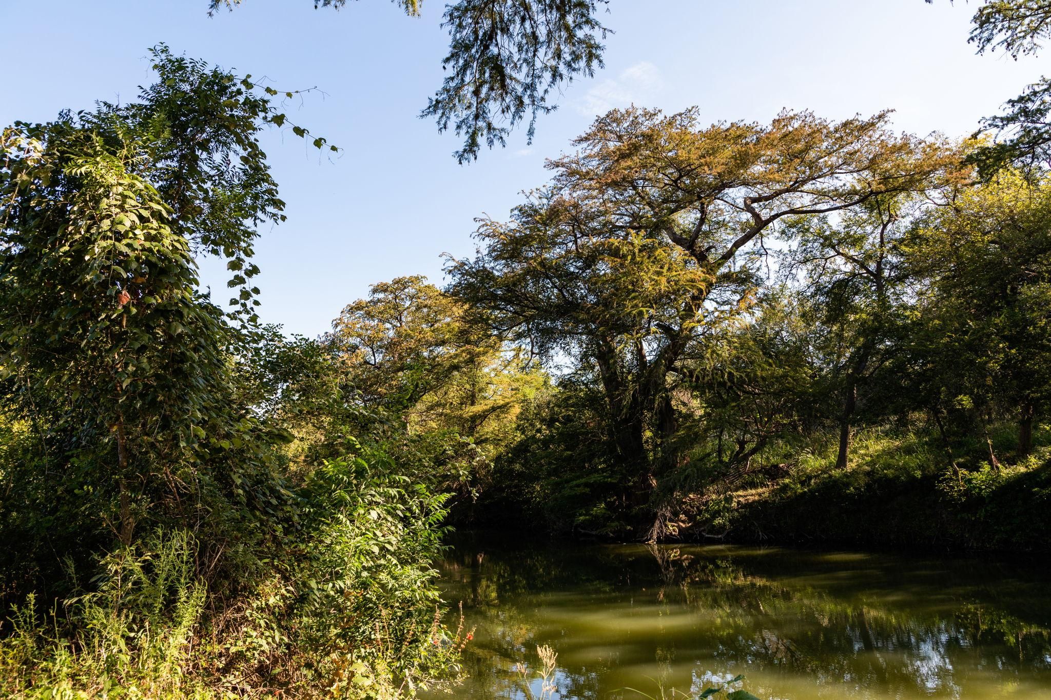 Sabinal, Uvalde County, TX Farms and Ranches, Recreational Property