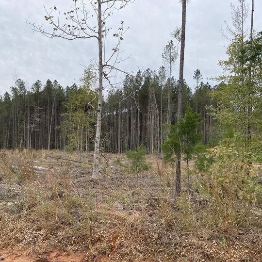 Chunky, Lauderdale County, MS Recreational Property for sale Property