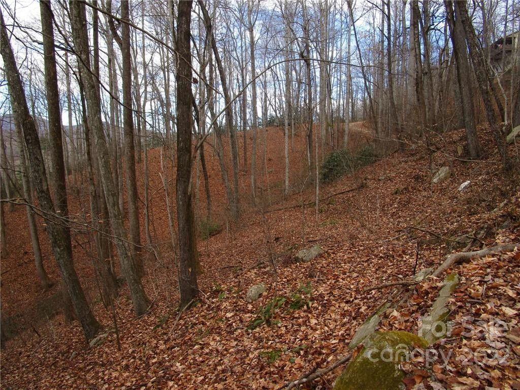 Hendersonville, Henderson County, NC Undeveloped Land, Homesites for sale Property ID 413819332