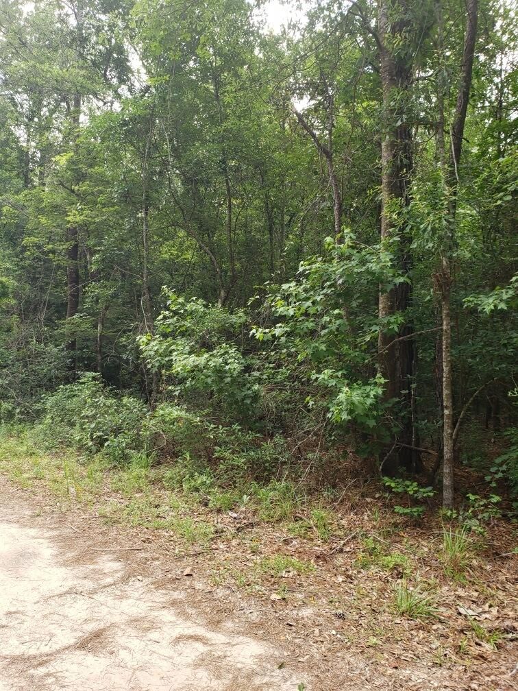 250 PR 5172, Buna, TX 77612 MLS TXAR LandWatch