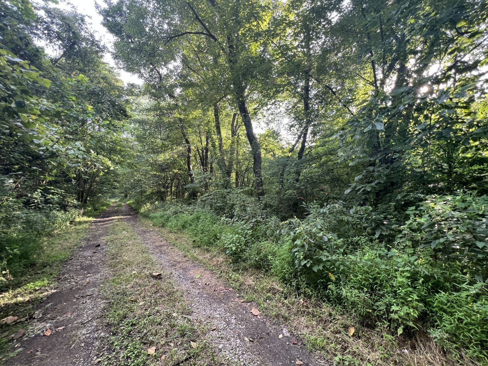 Chauncey, Athens County, OH Undeveloped Land for sale Property ID