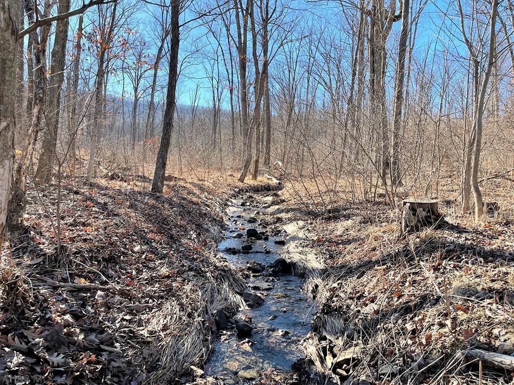 Bedford, Bedford County, PA Undeveloped Land for sale Property ID