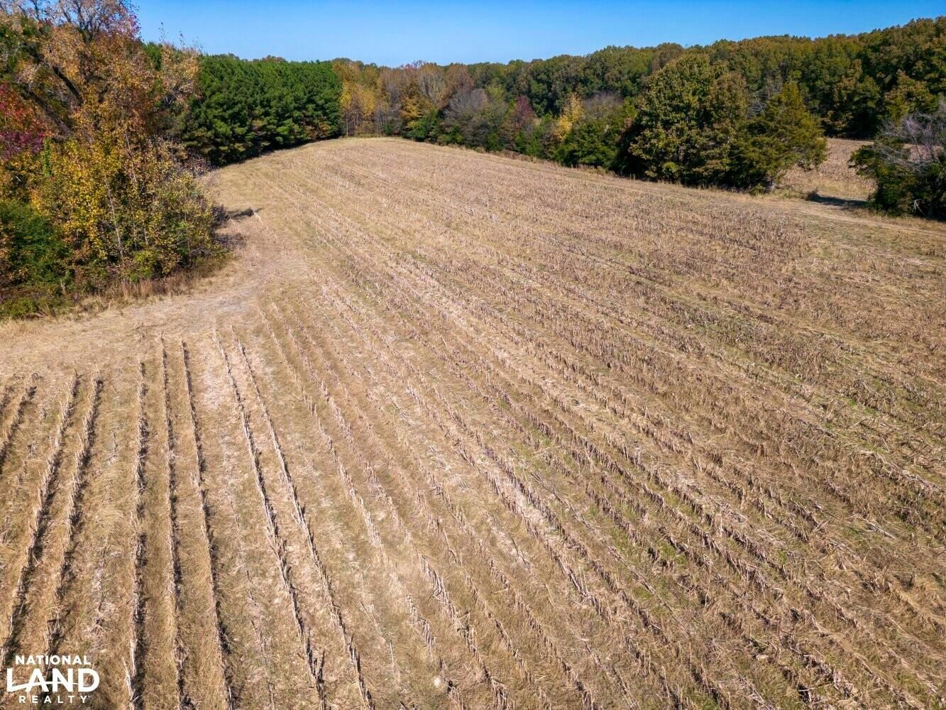 Grenada, Grenada County, MS Farms and Ranches, Hunting Property for