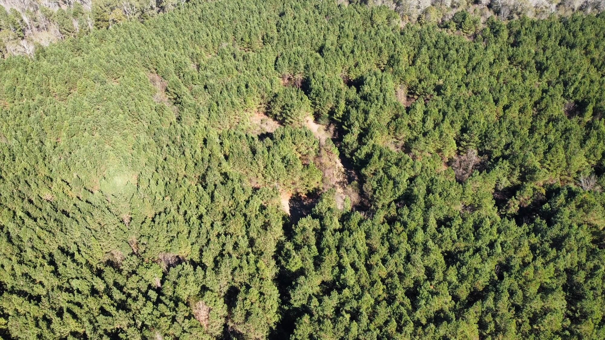 Hickory, Newton County, MS Recreational Property, Timberland Property