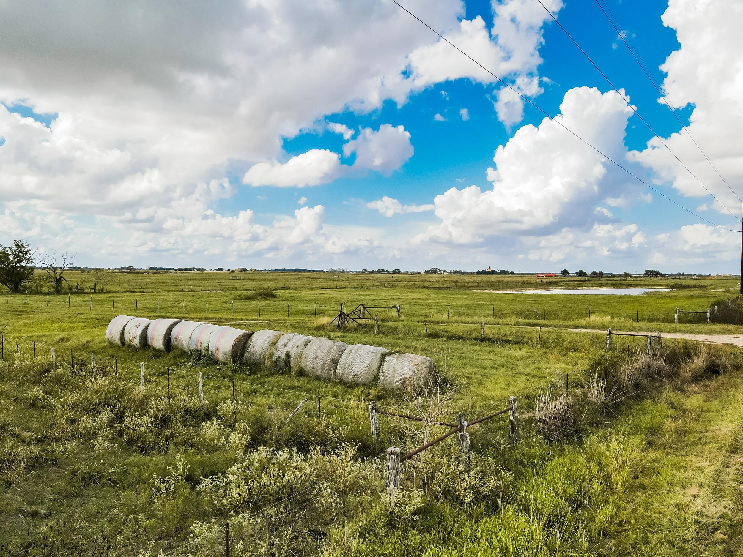 El Campo, Wharton County, TX Farms and Ranches, Hunting Property for