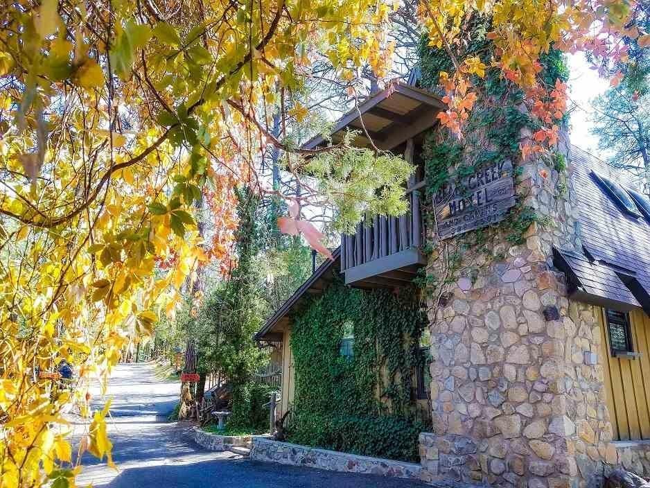 Pinos Altos, Grant County, NM Commercial Property, Homesites for sale