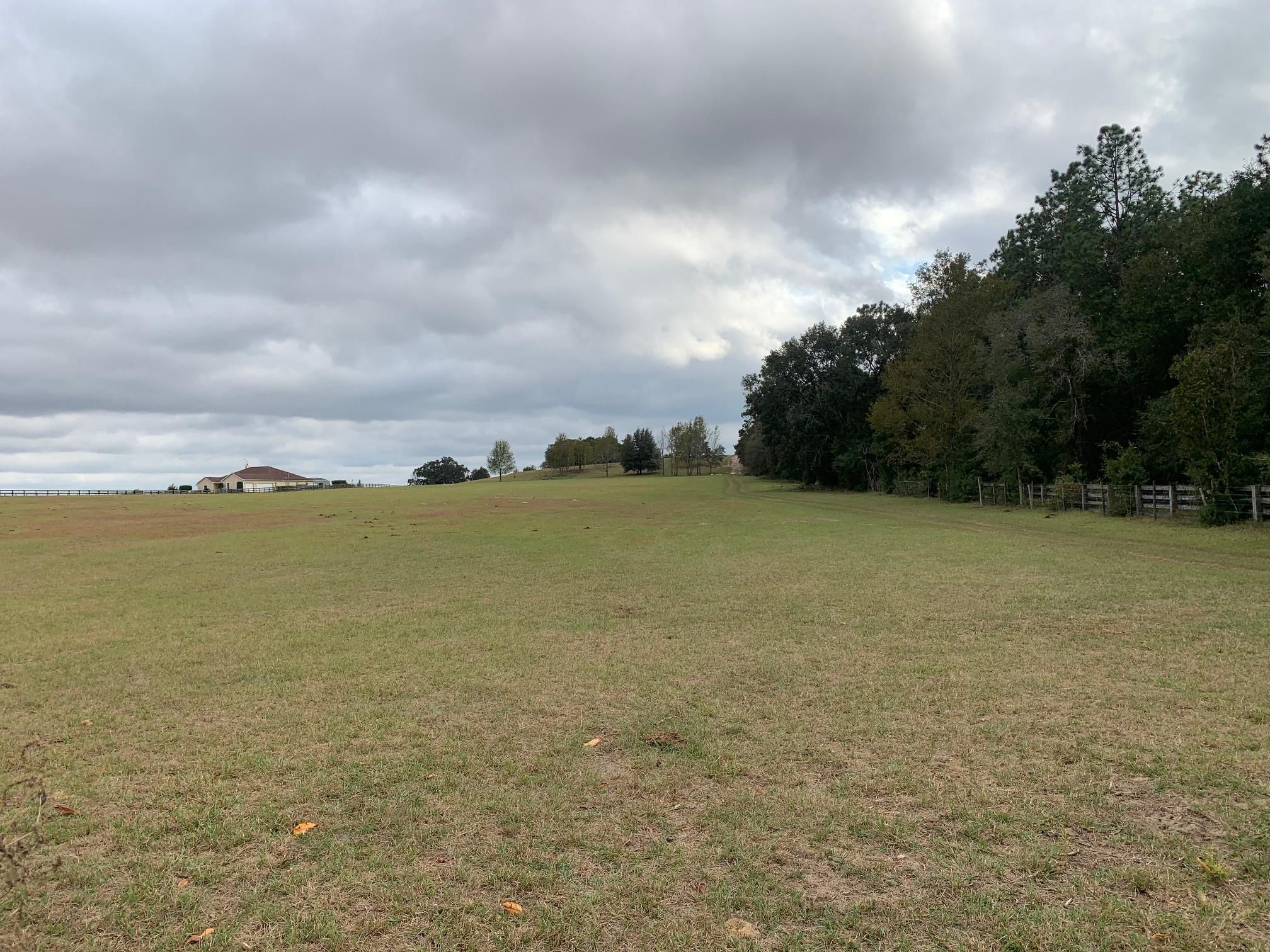 Morriston, Marion County, FL Farms and Ranches, Horse Property for sale