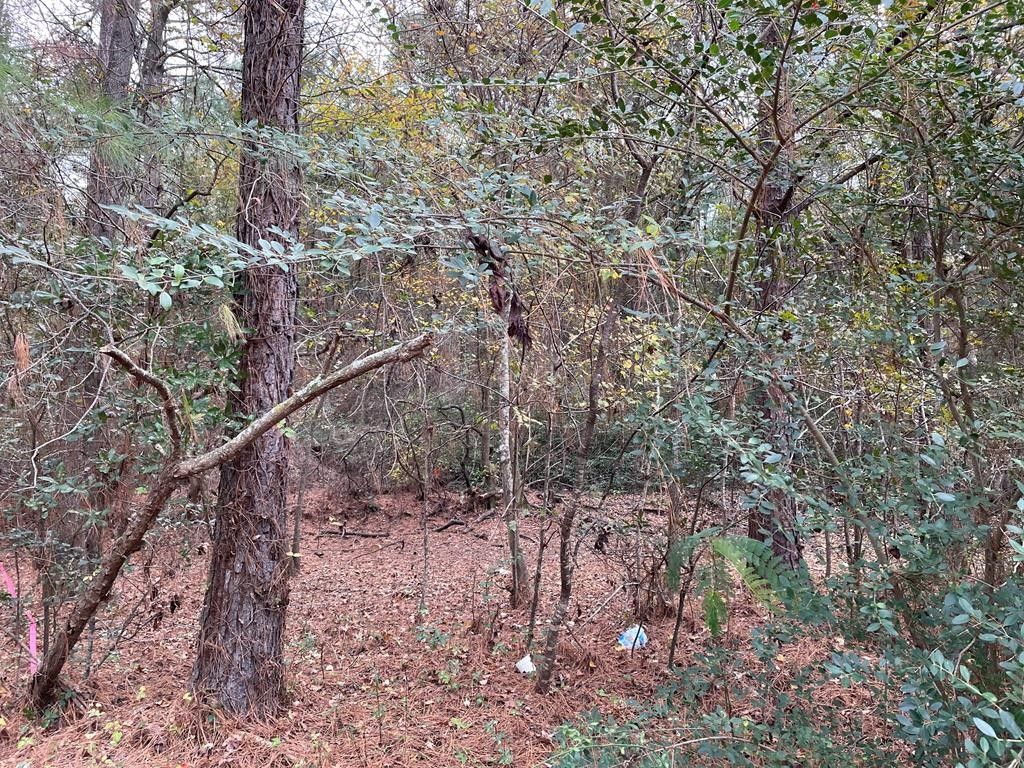 Reidsville, Tattnall County, GA Lakefront Property, Waterfront Property