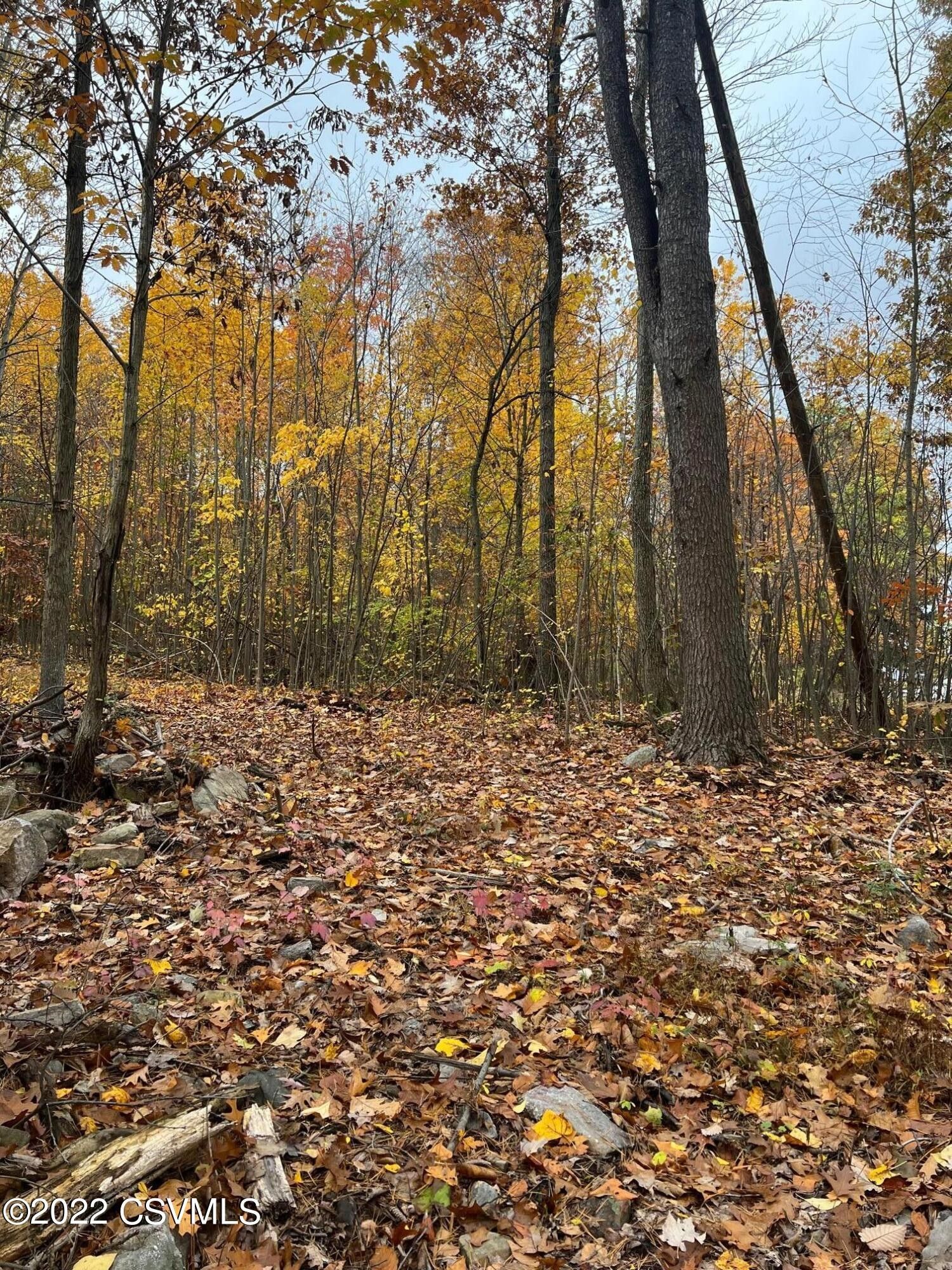 Sunbury, Northumberland County, PA Undeveloped Land for sale Property