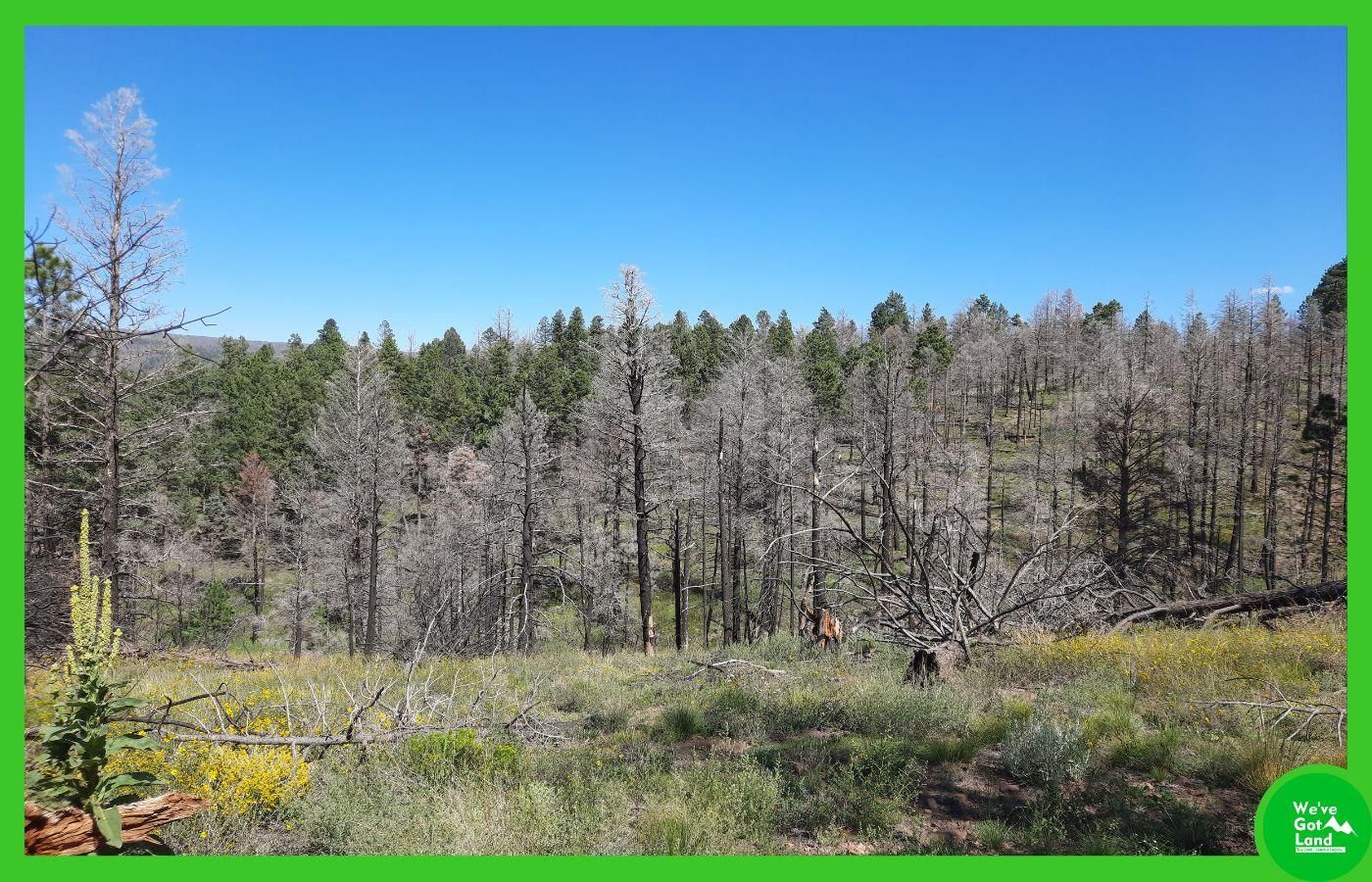 Fort Garland, Costilla County, CO Recreational Property, Undeveloped
