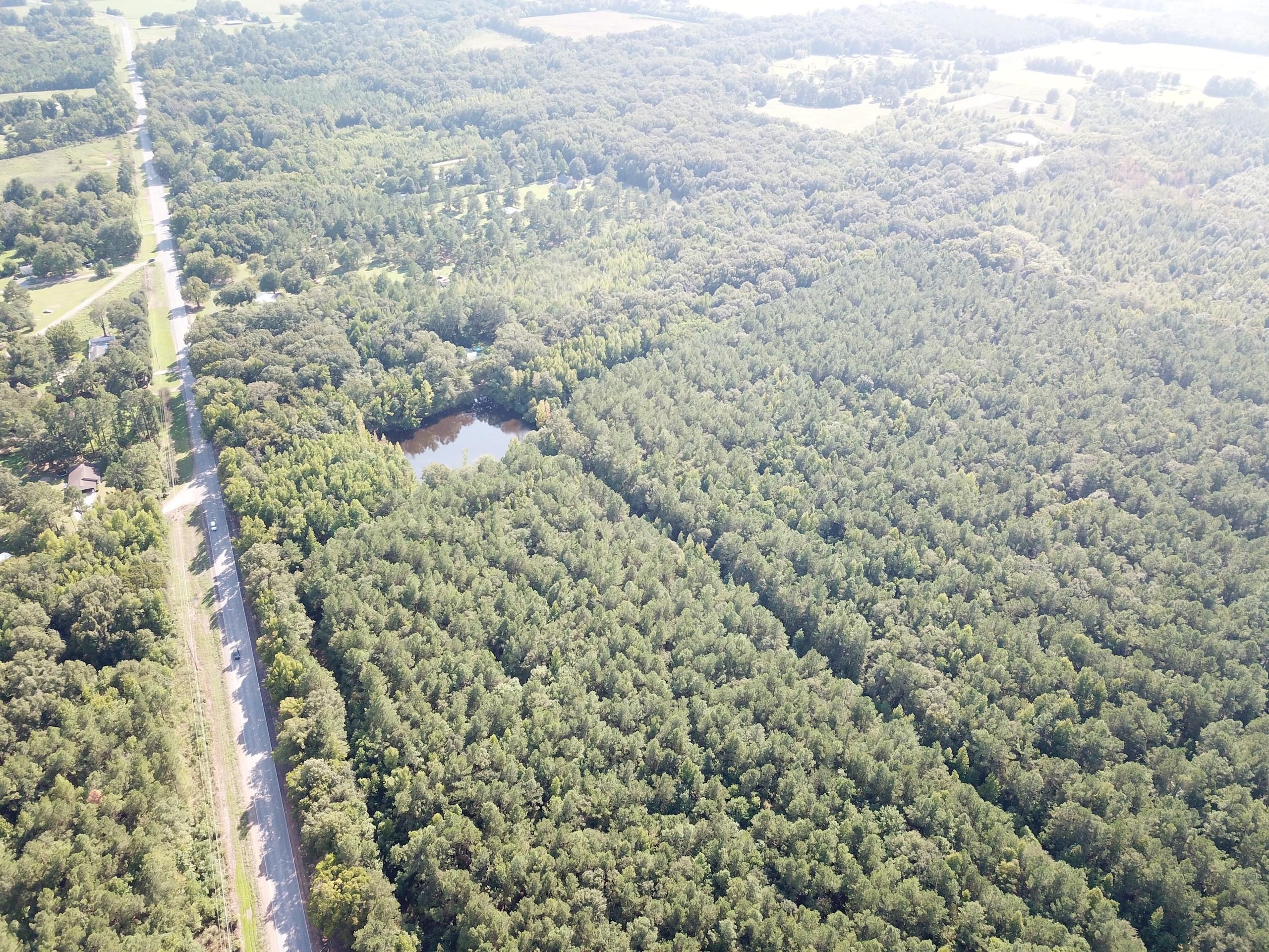 Jonesville, Catahoula Parish, LA Recreational Property, Timberland Property, Hunting Property