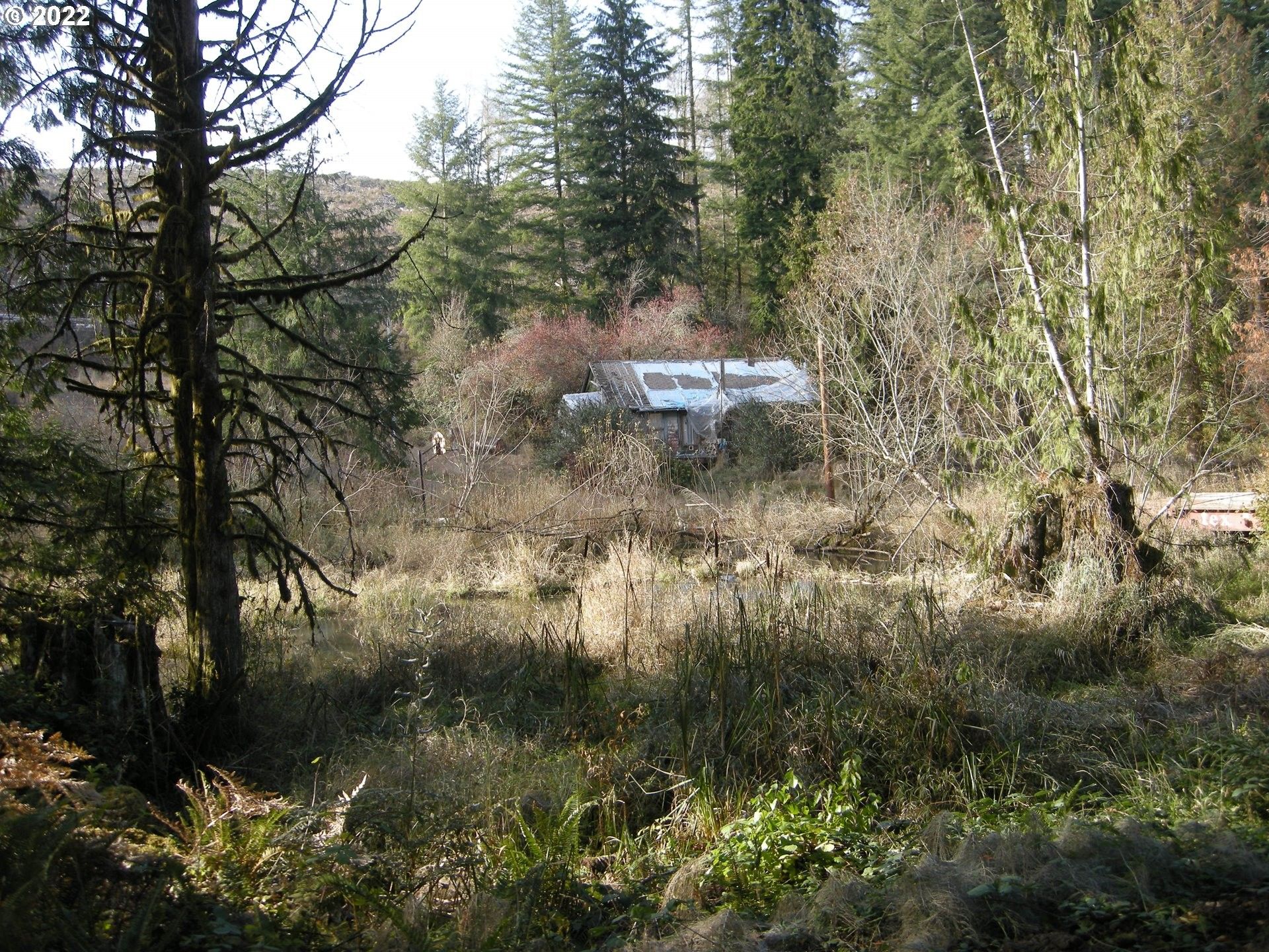 Rainier, Columbia County, OR Undeveloped Land for sale Property ID