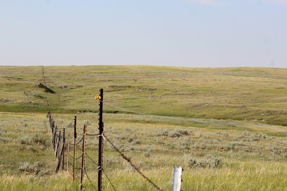 Buffalo, Harding County, SD Undeveloped Land for sale Property ID