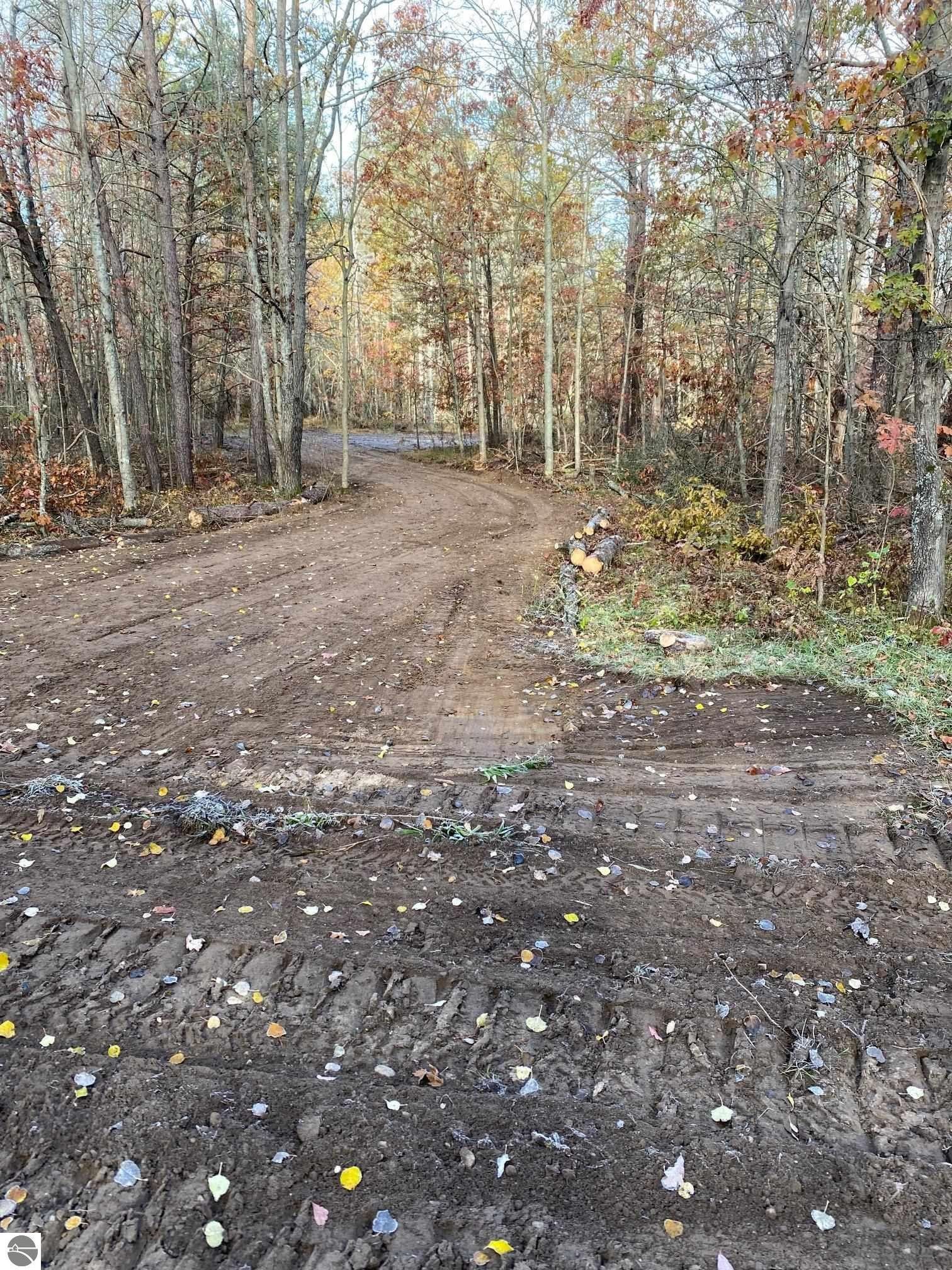 Glennie, Alcona County, MI Undeveloped Land, Lakefront Property