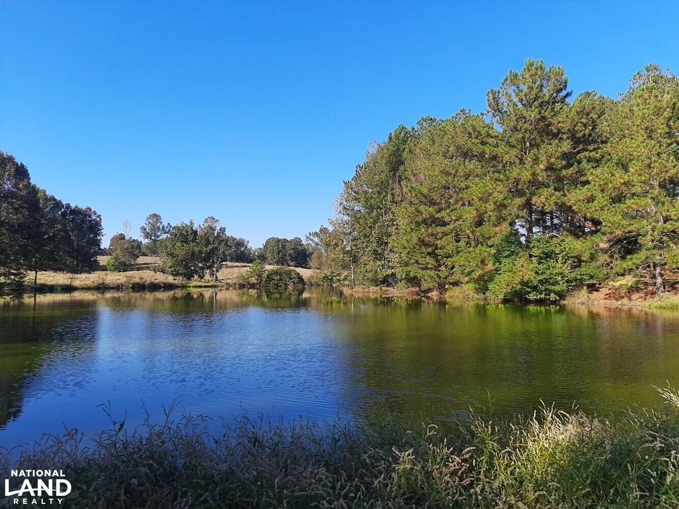 17925 Hwy 82, Union Springs, AL 36089 LandWatch