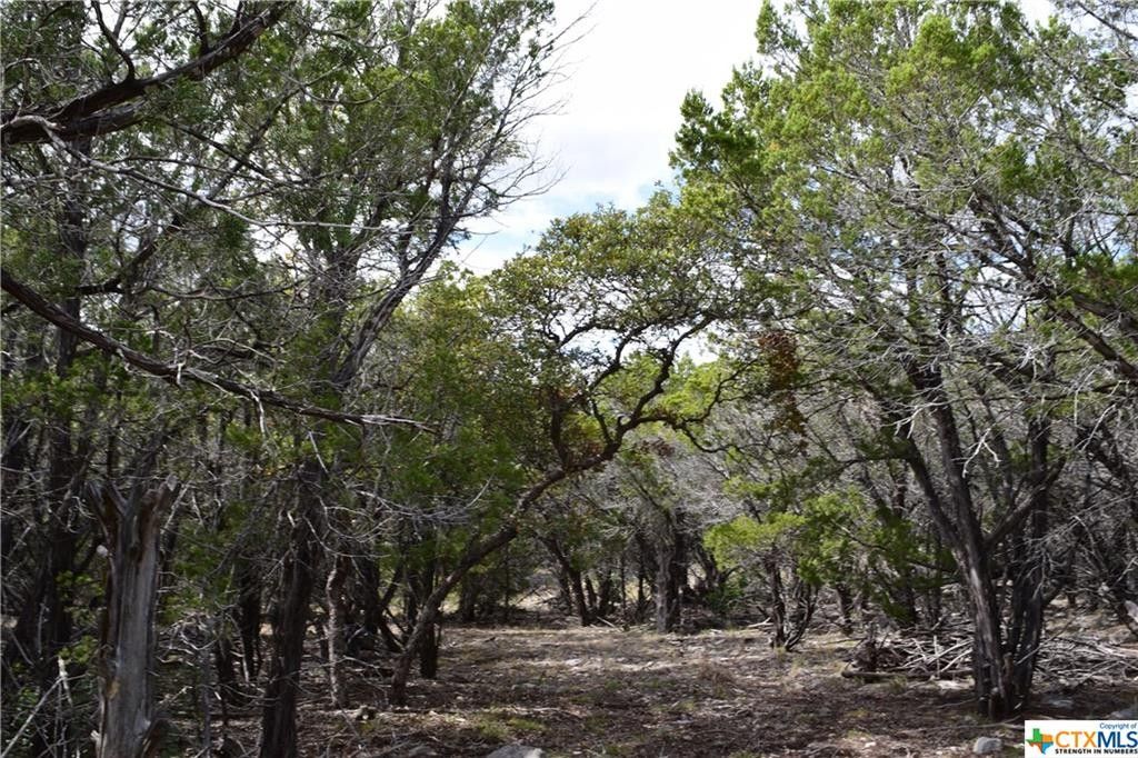 Lampasas, Lampasas County, TX Farms and Ranches for sale Property ID