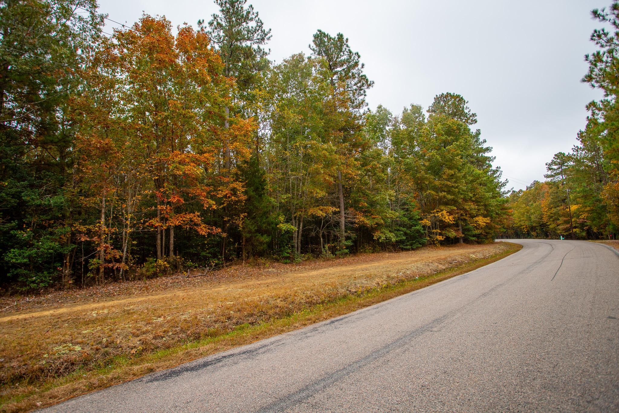 Dewitt, Dinwiddie County, VA Hunting Property, Homesites for sale