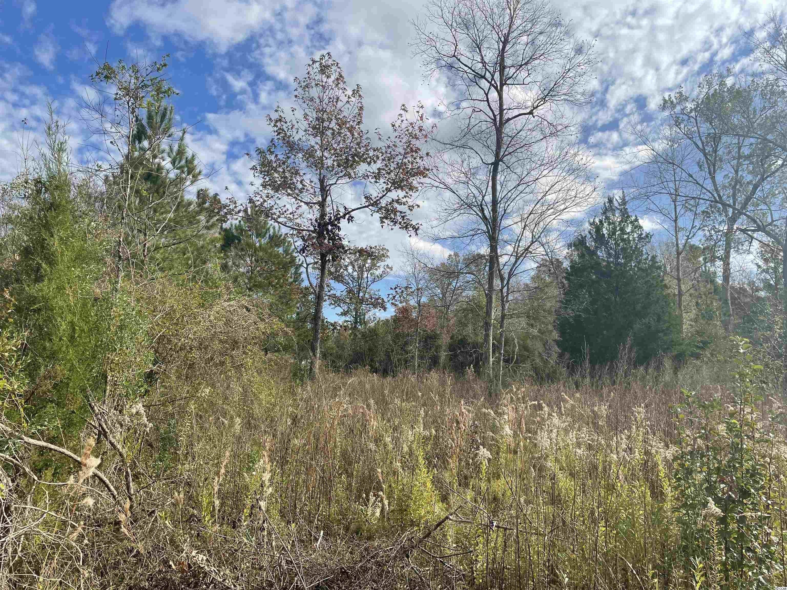 Andrews, County, SC Homesites for sale Property ID