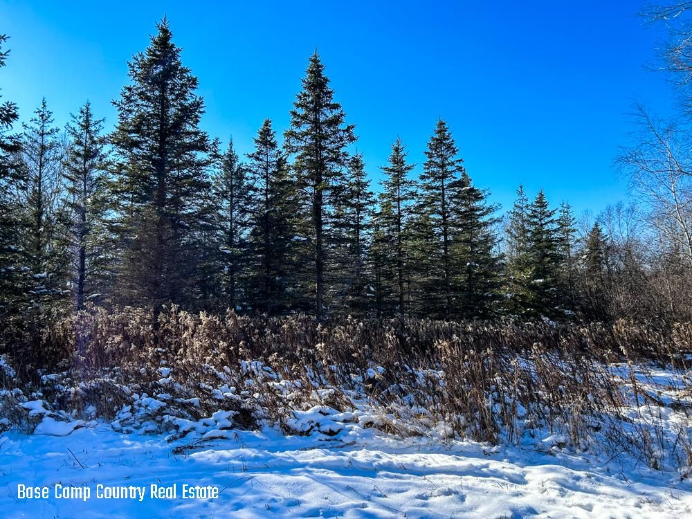 Antigo, Langlade County, WI Recreational Property, Hunting Property for