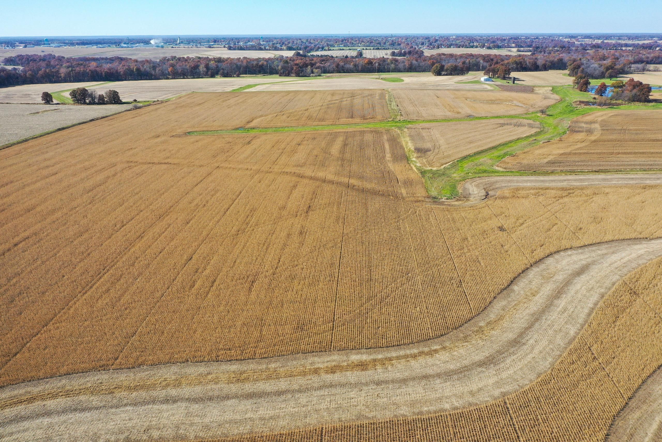 Montgomery City, Montgomery County, MO Farms and Ranches, Undeveloped