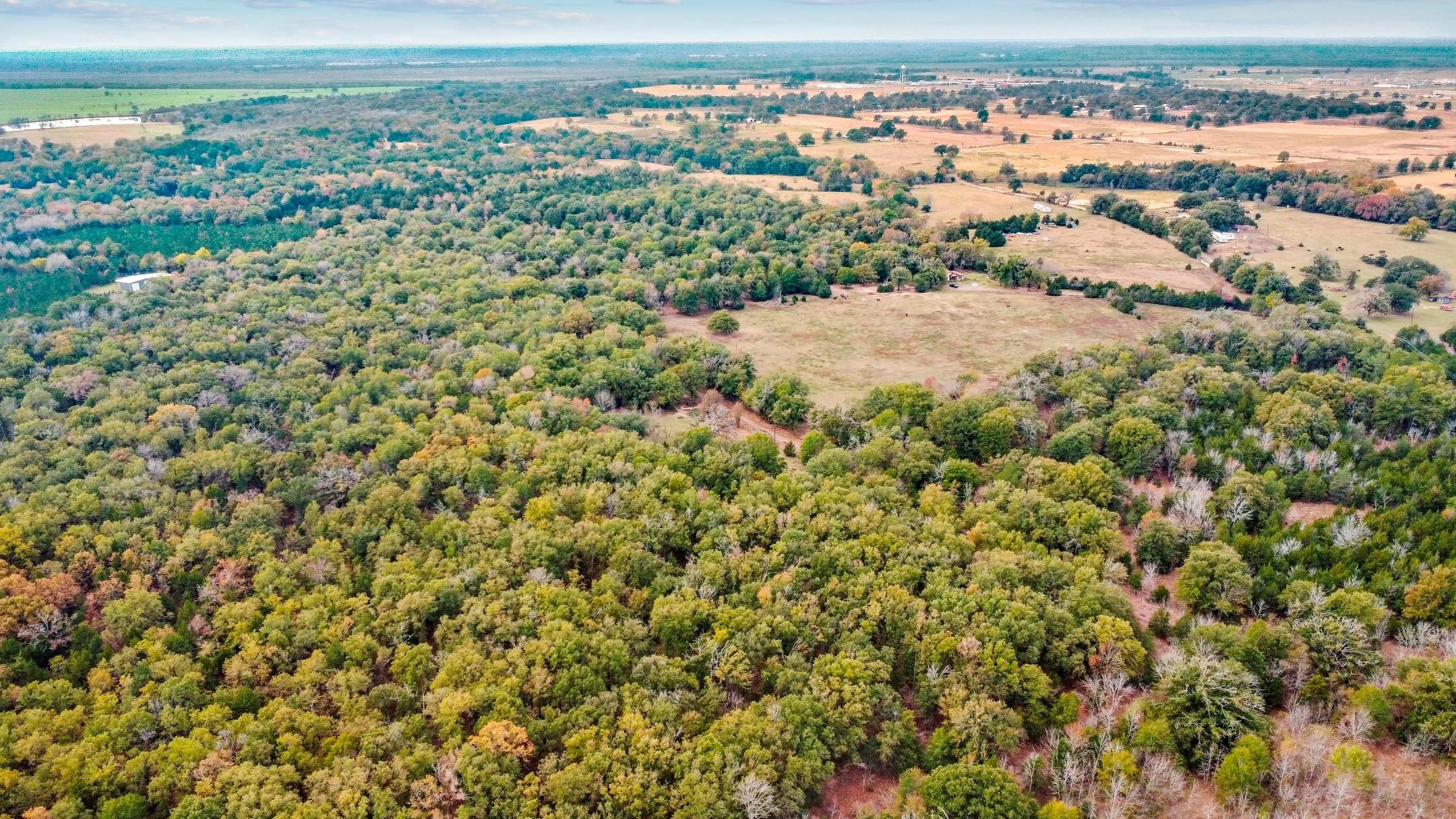Tennessee Colony, Anderson County, TX Undeveloped Land, Homesites for