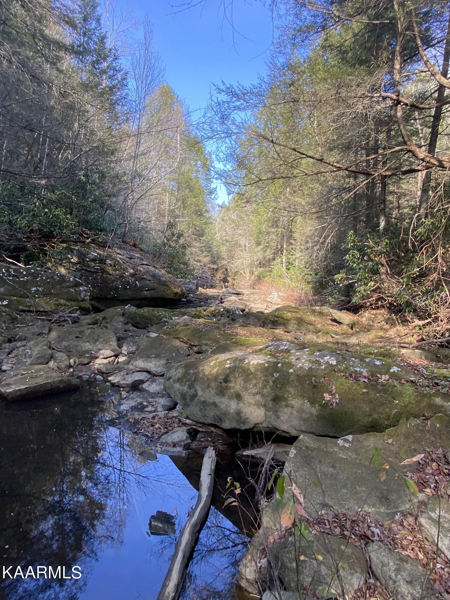 Sunbright, County, TN Undeveloped Land for sale Property ID