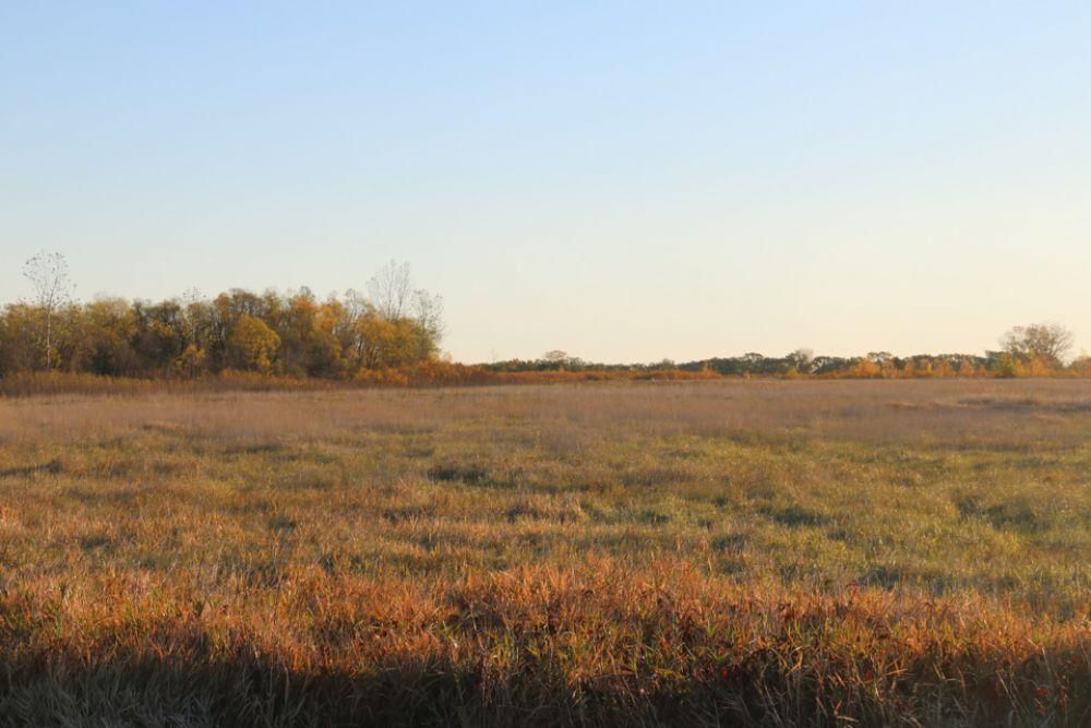 337.2 acres in Buxton, ND, 58218 LandWatch