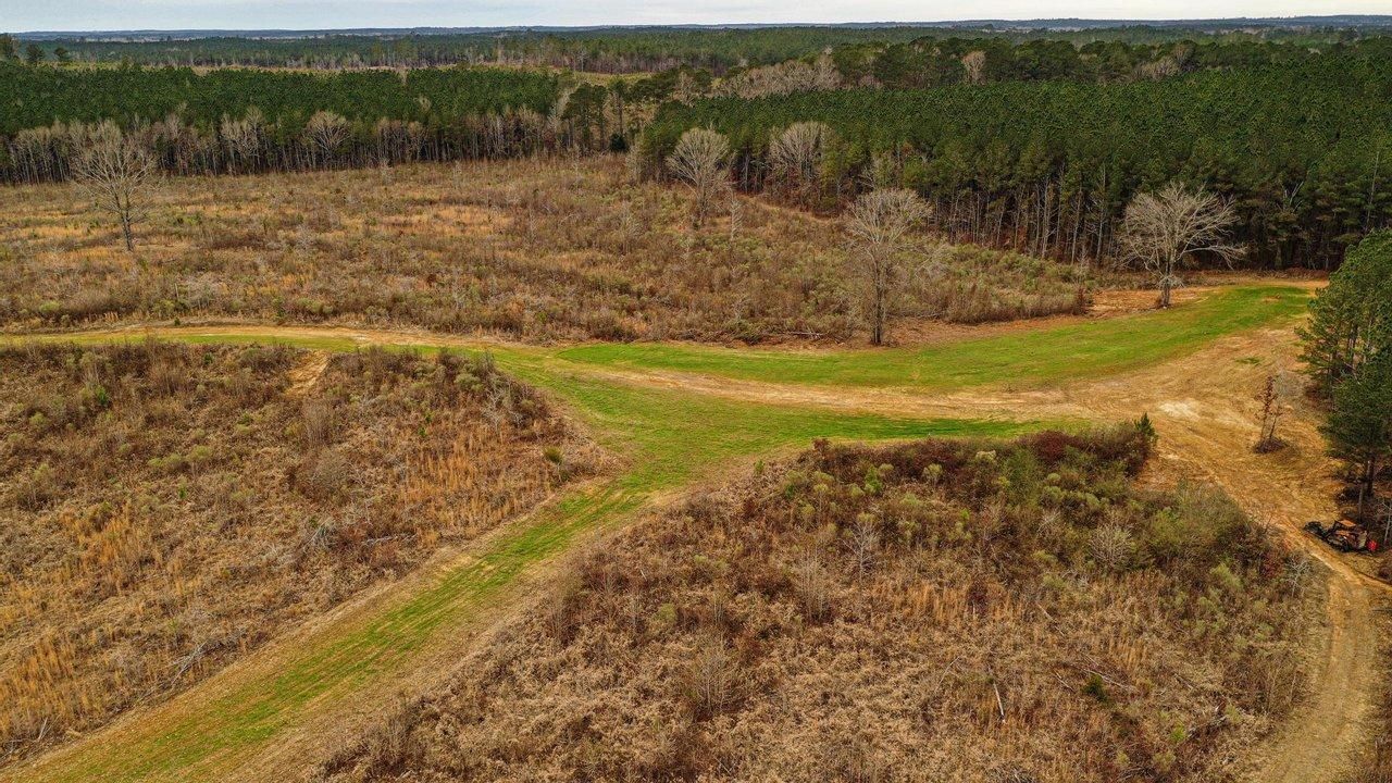 Carthage, Leake County, MS Recreational Property, Timberland Property