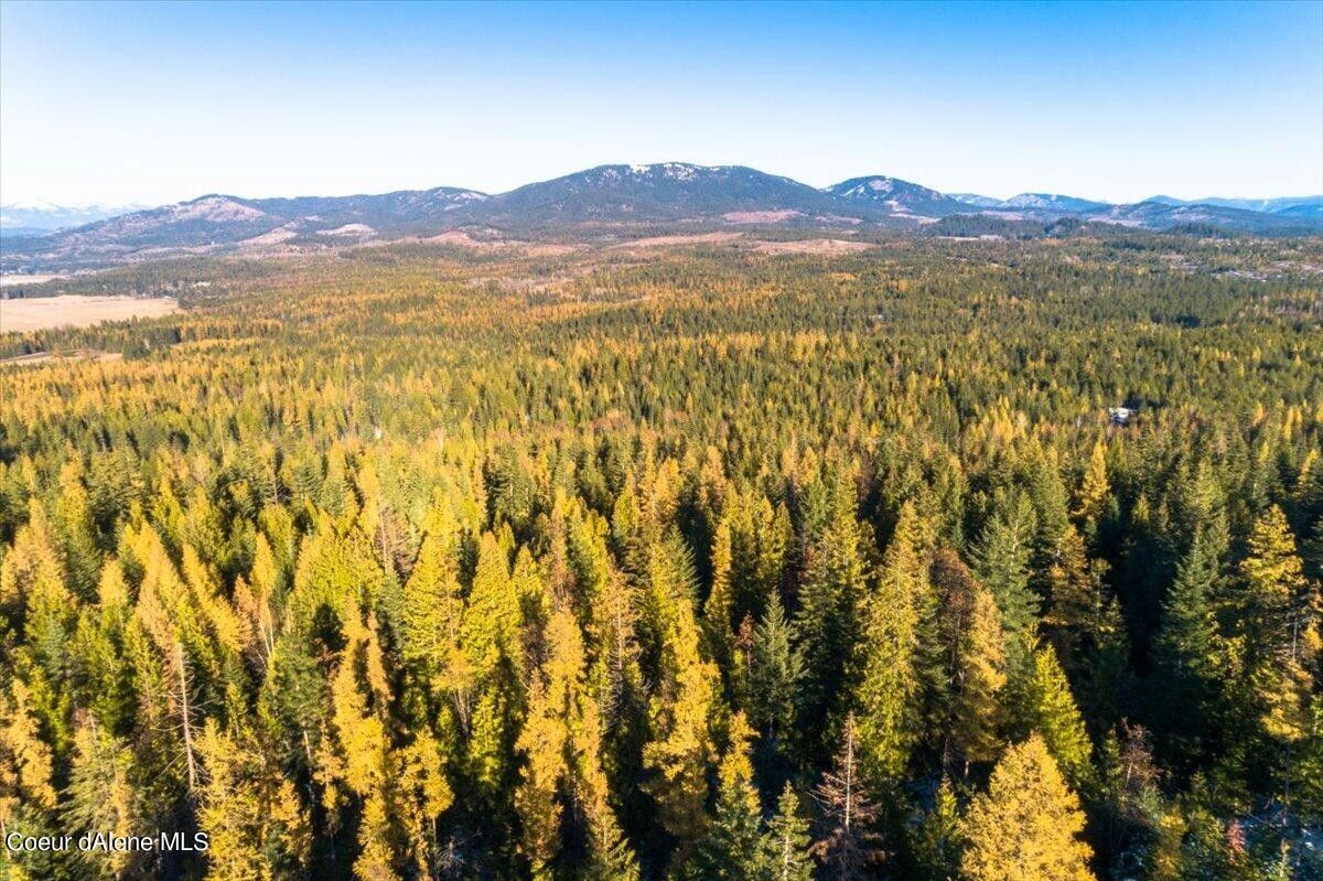 Athol, Bonner County, ID Undeveloped Land for sale Property ID