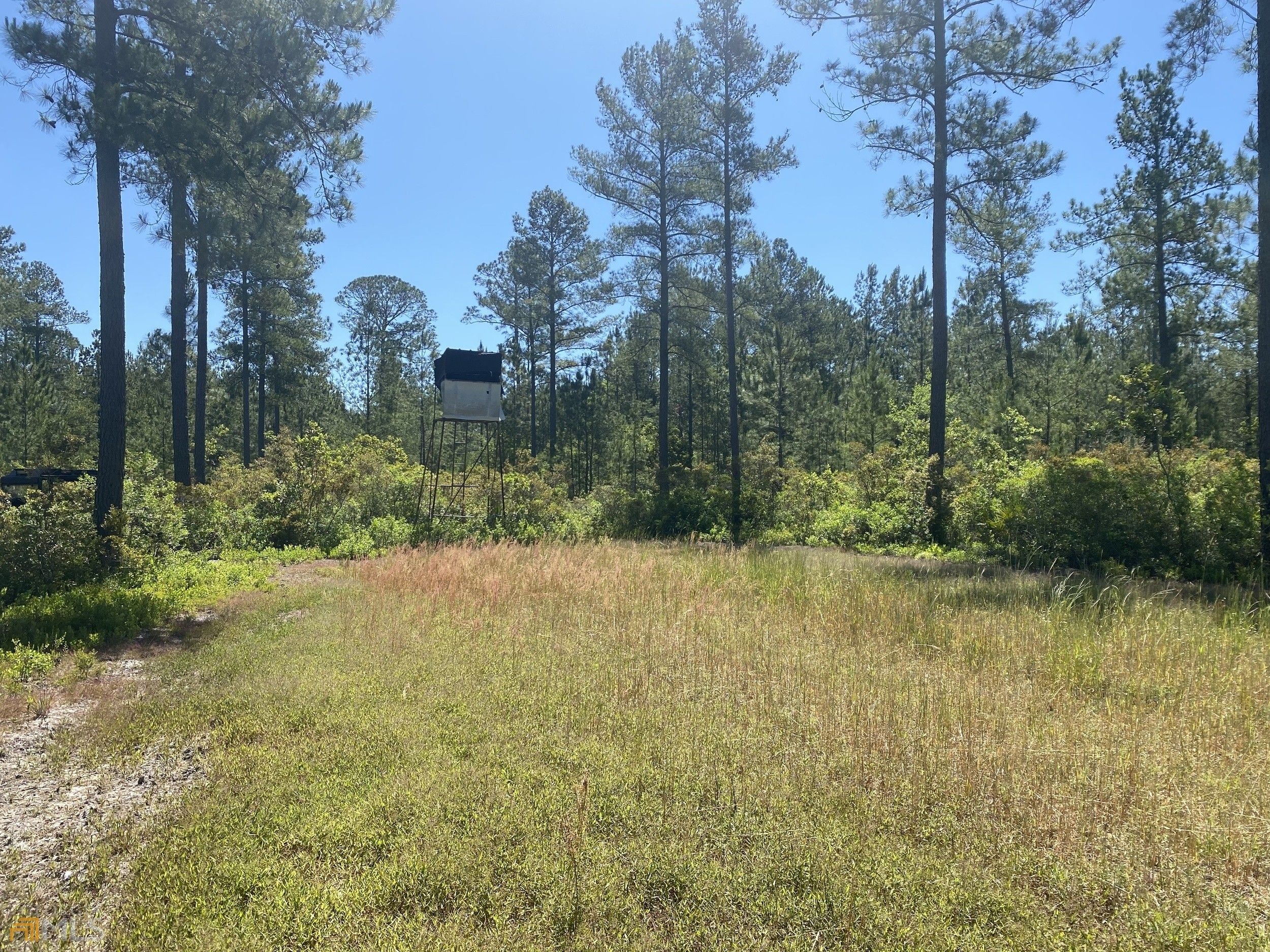 Baxley, Appling County, GA Undeveloped Land for sale Property ID