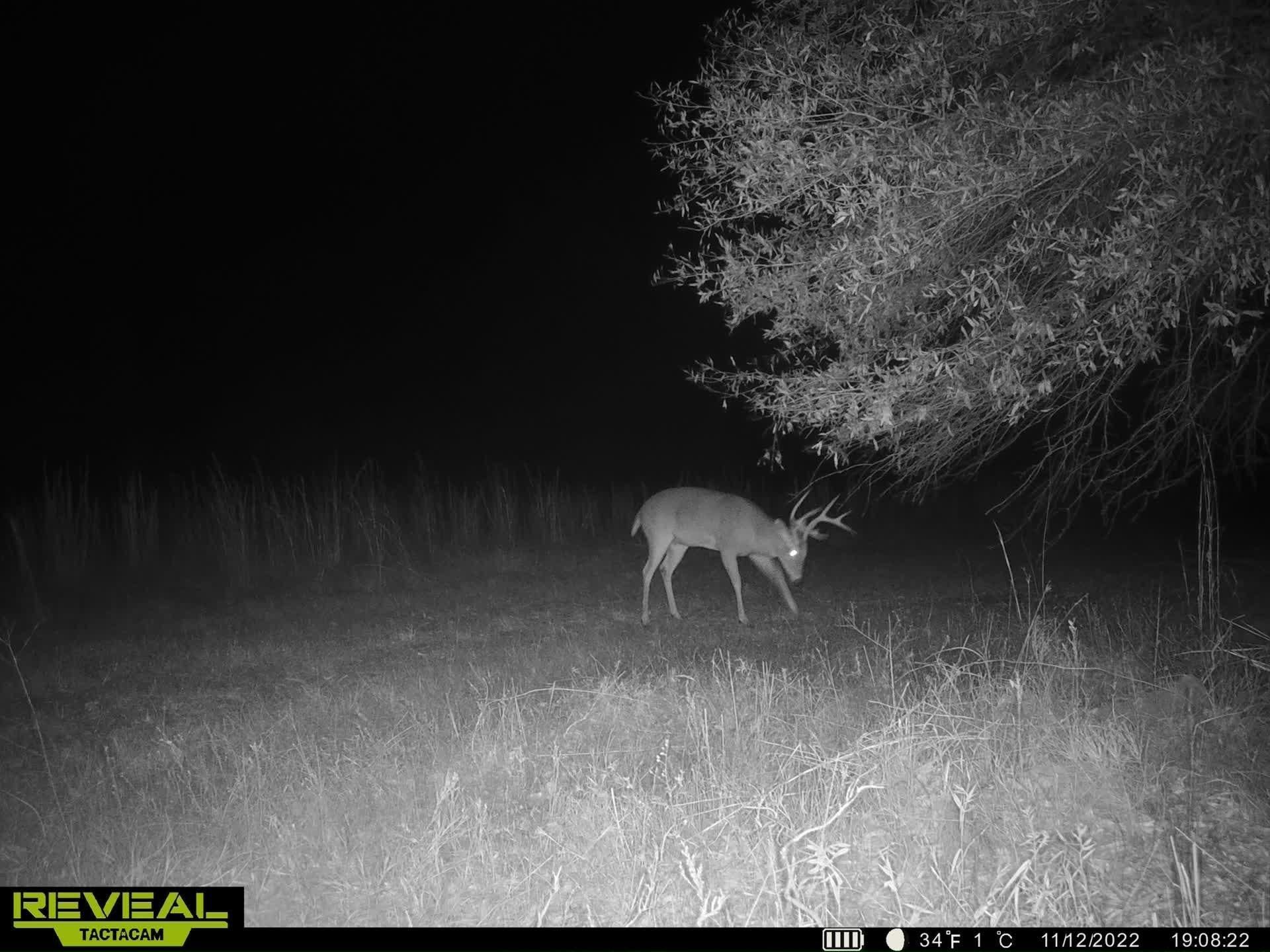 Long Lonesome Road, Bastrop, LA 71220 LandWatch